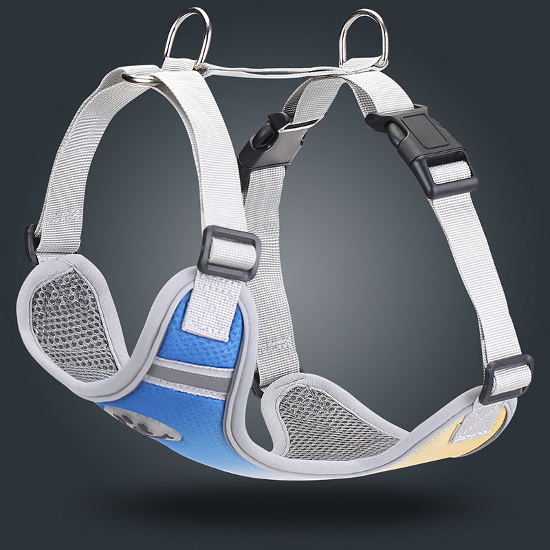 Reflective Ombre Harness – Safety & Style 🌈✨