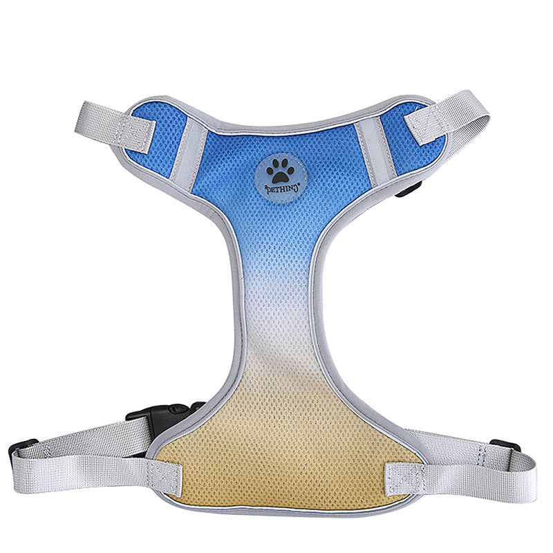 Reflective Ombre Harness – Safety & Style 🌈✨