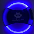 Frisbee LED Lumineux – Jeu Nocturne & Fun Illimité 🌙✨