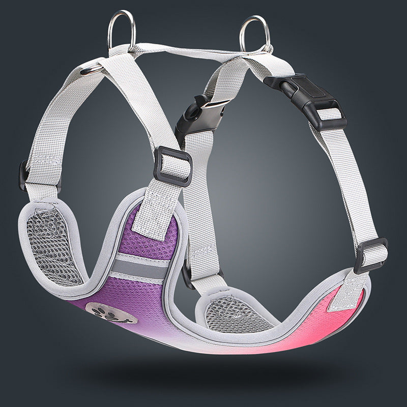 Reflective Ombre Harness – Safety & Style 🌈✨