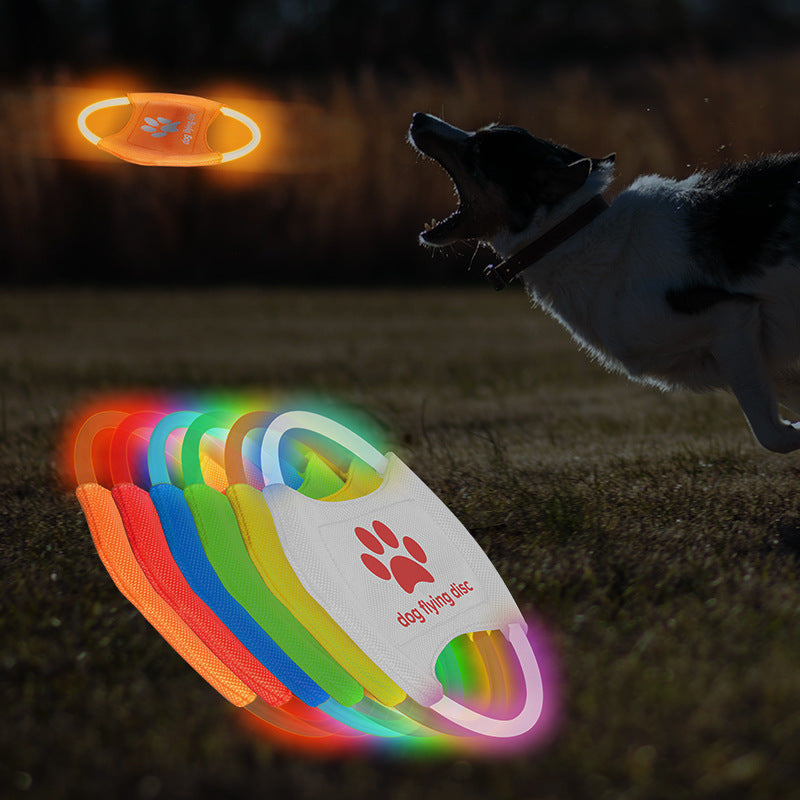 Frisbee LED Lumineux – Jeu Nocturne & Fun Illimité 🌙✨
