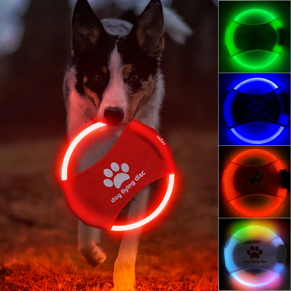 LED Light-Up Frisbee – Night Play & Unlimited Fun 🌙✨