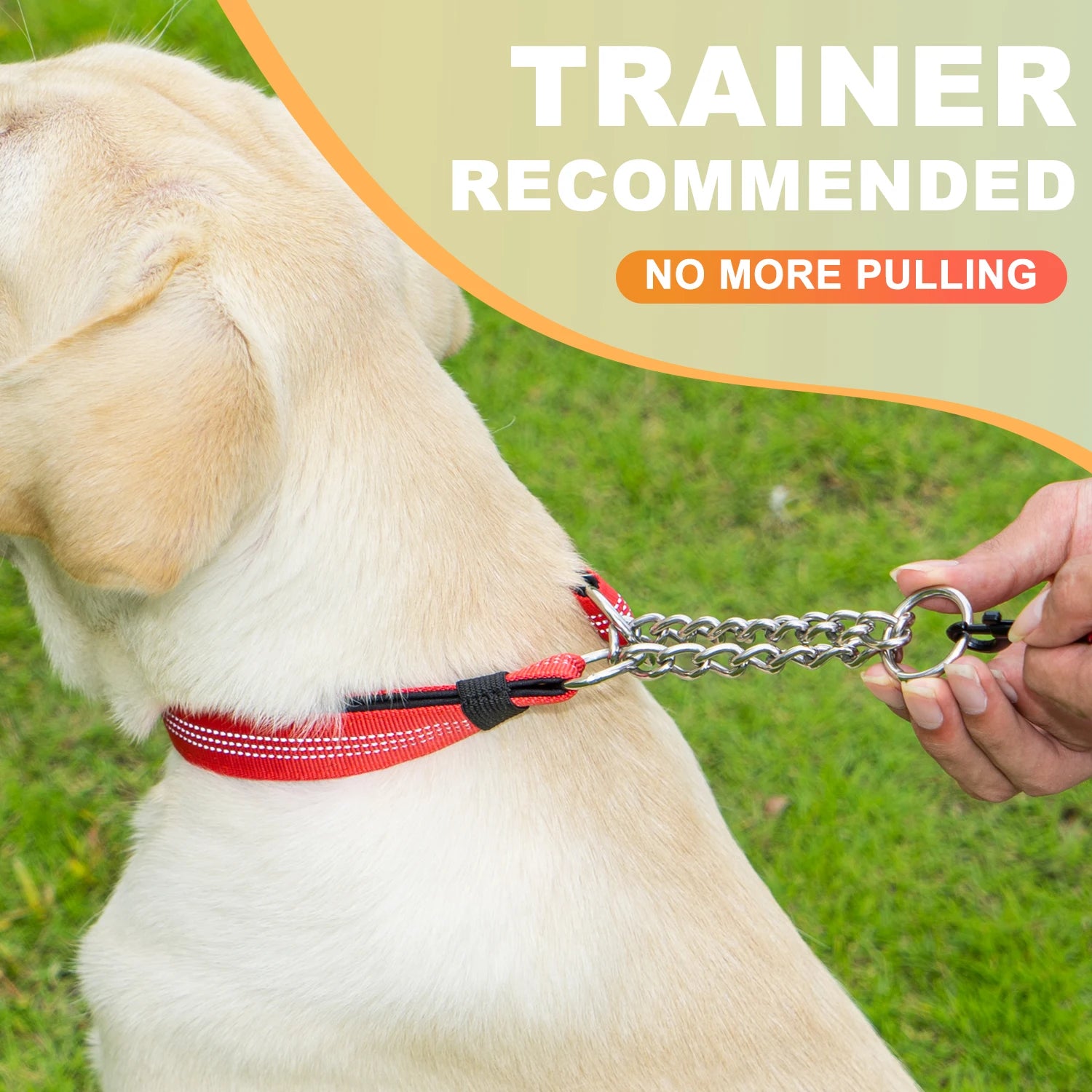 Pro Anti-Pull AirTag Collar – Total Control & Security 🐶💛