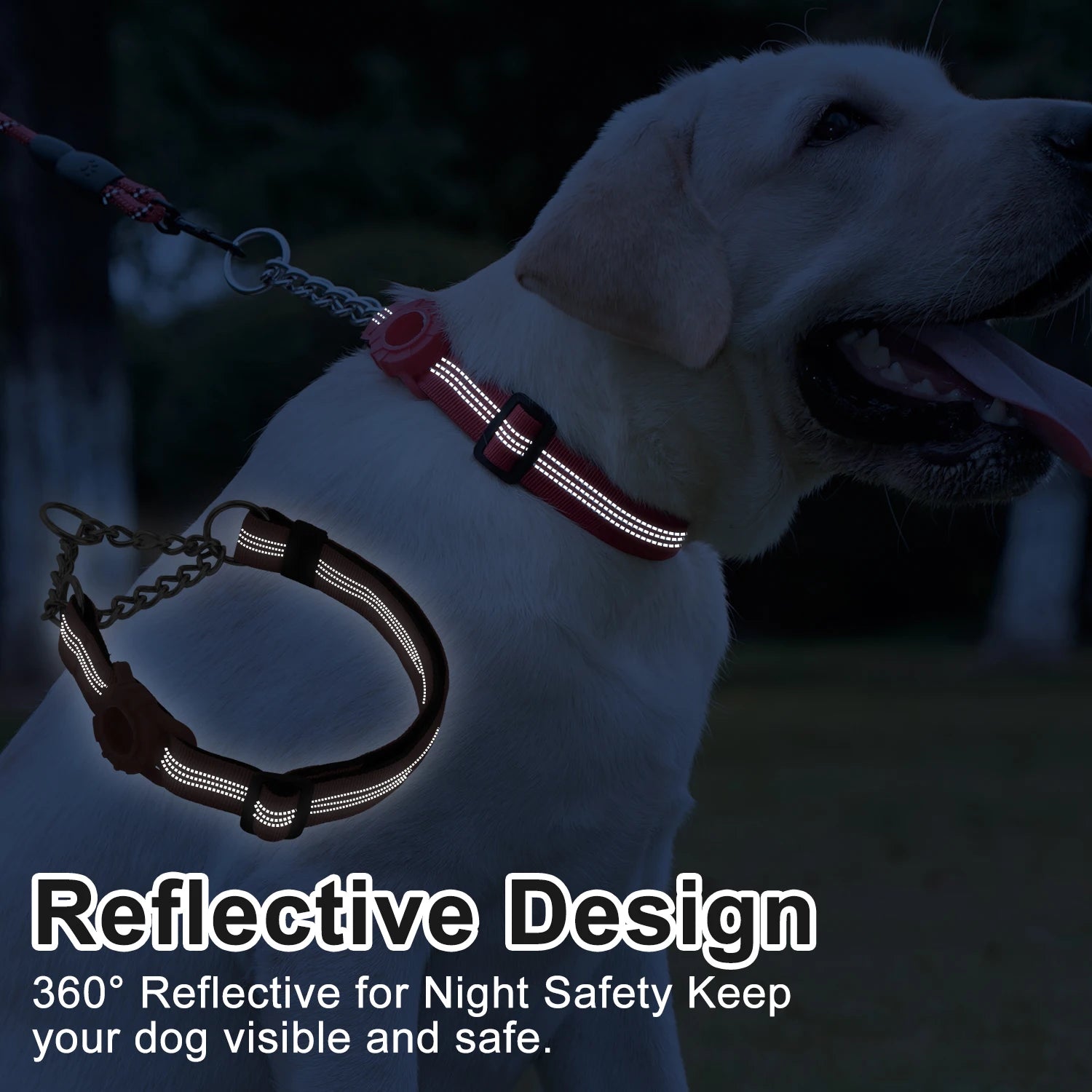 Pro Anti-Pull AirTag Collar – Total Control & Security 🐶💛