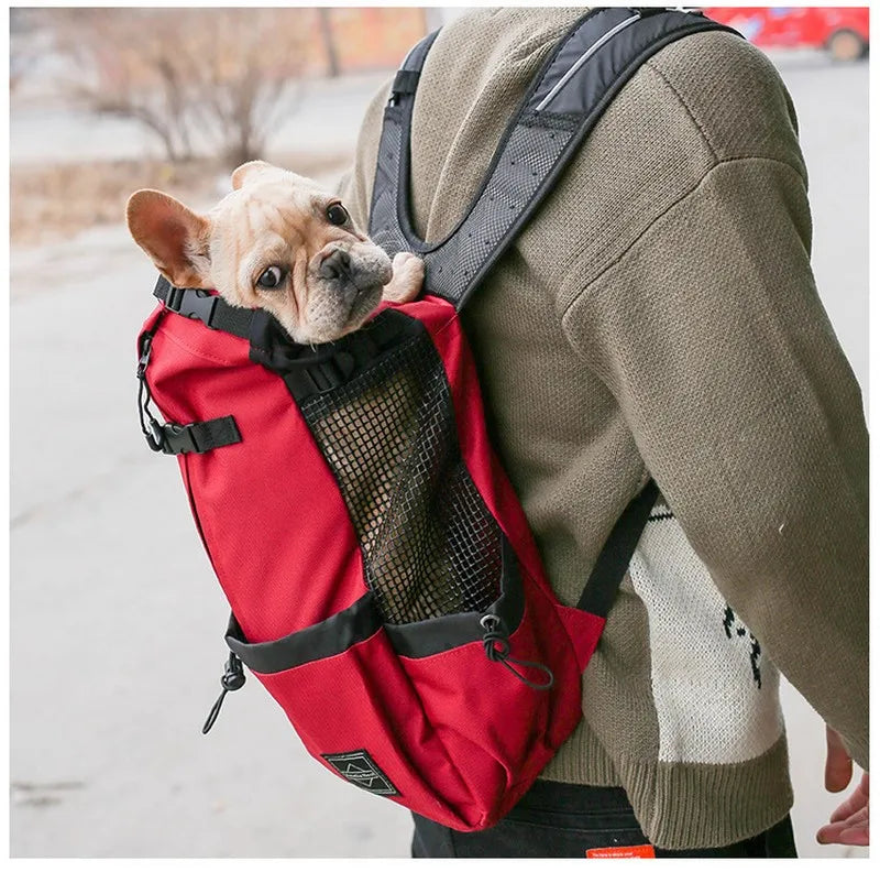 Sac à Dos Transport Chien – Aventure & Confort Ultime 🎒🐶💛