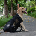 Sac à Dos Transport Chien – Aventure & Confort Ultime 🎒🐶💛