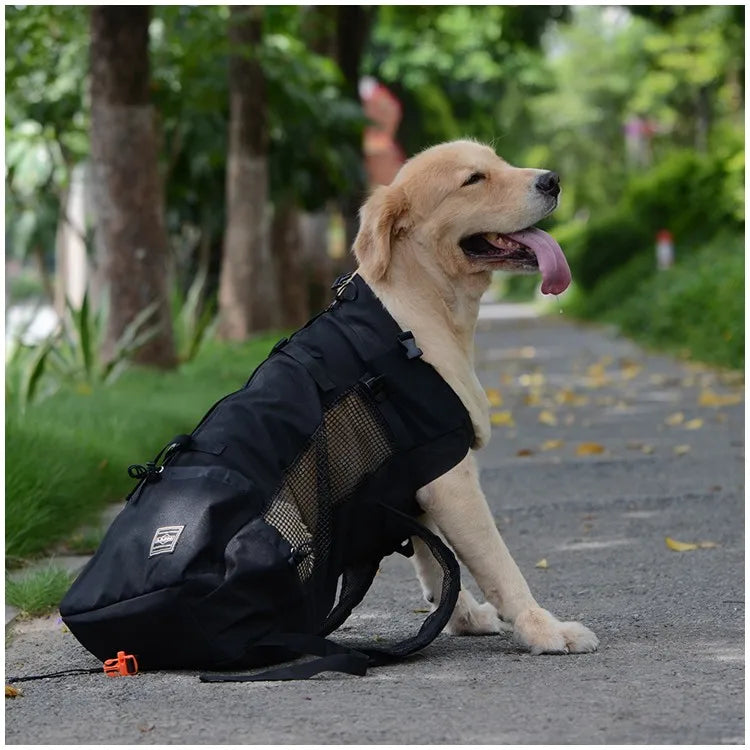 Sac à Dos Transport Chien – Aventure & Confort Ultime 🎒🐶💛