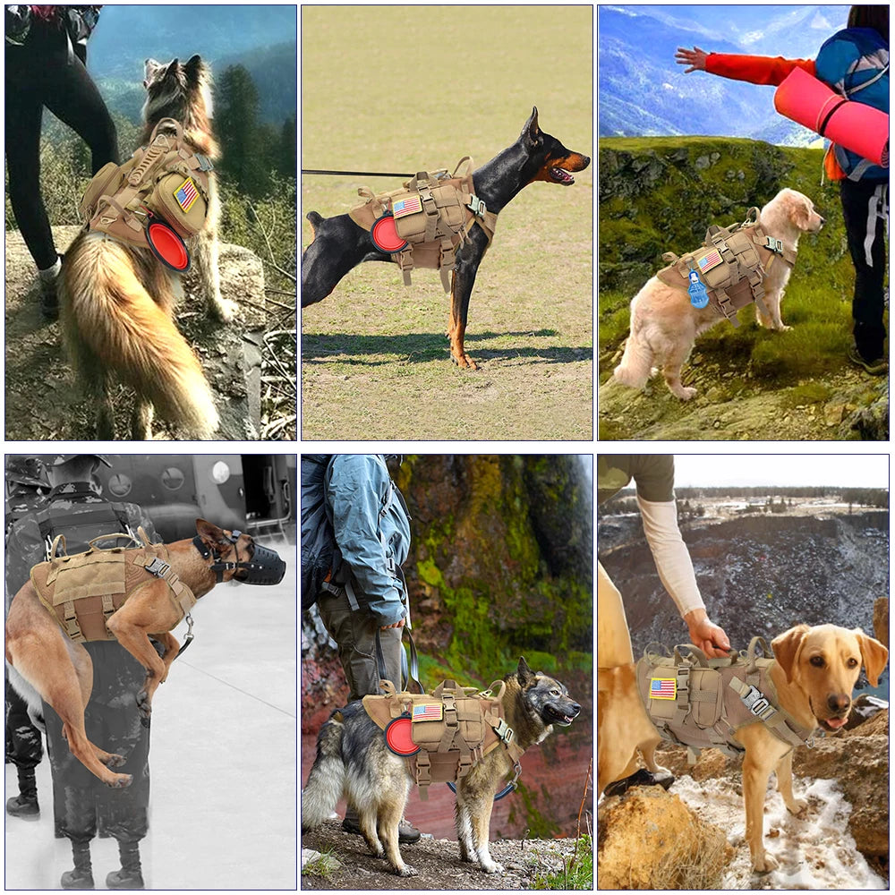 Pro Tactical Molle Harness – Ultimate Control & Military Style 🐶💪💛