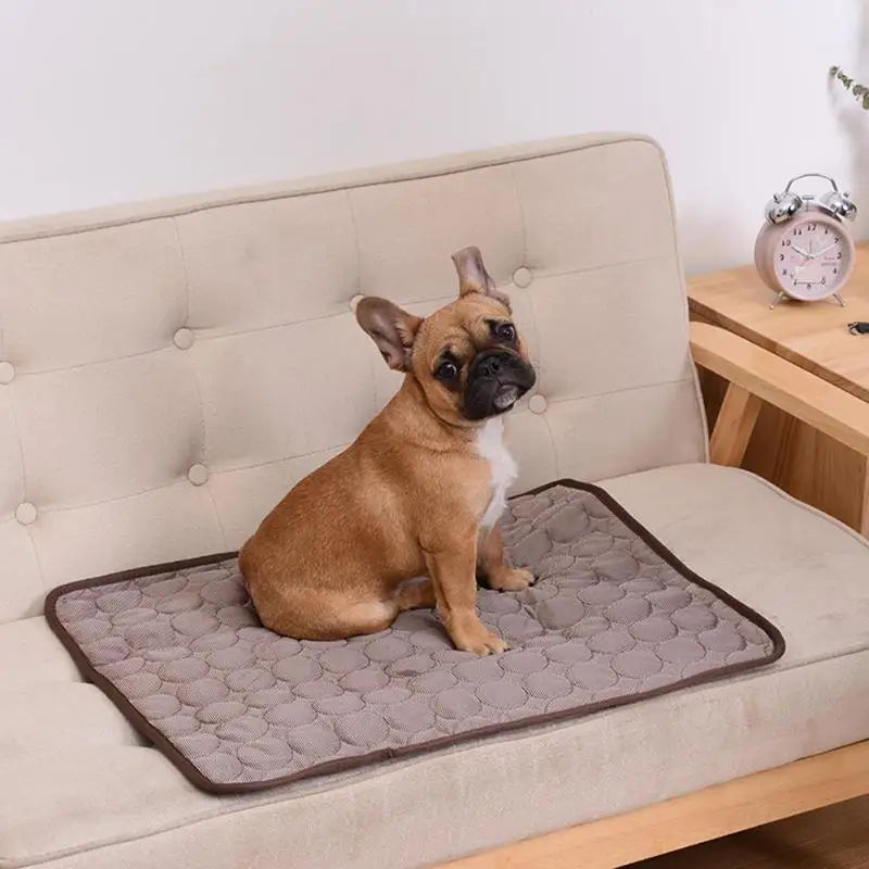 Tapis Rafraîchissant pour Chien – Fraîcheur d’Été & Confort Absolu ❄️🐾