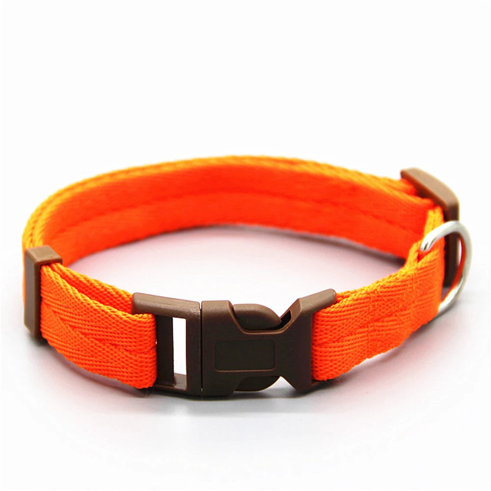Elegant Bow Tie Collar - Irresistible Style & Charm 🎩🐶💛