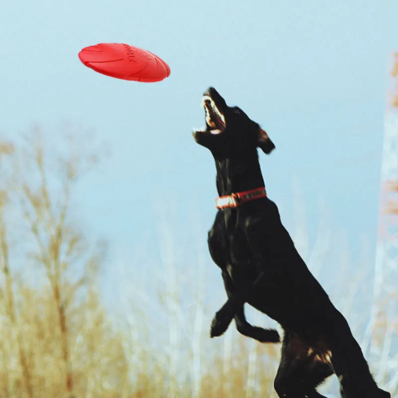 Soft Silicone Frisbee – Safe & Fun Game 🐶🥏