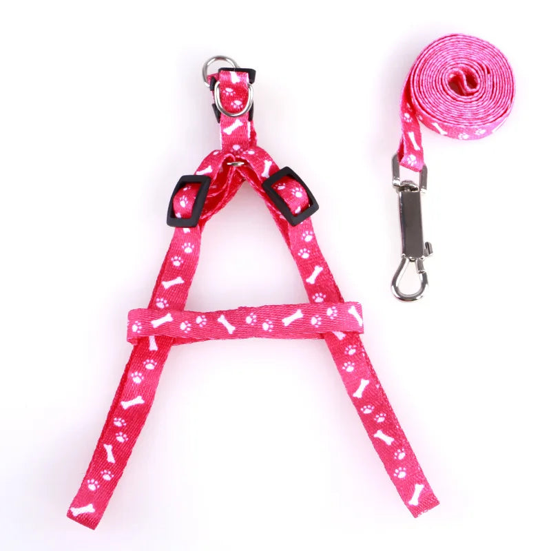 Colorful Harness & Leash Set – Style & Softness for Puppies 🐶🎀💛