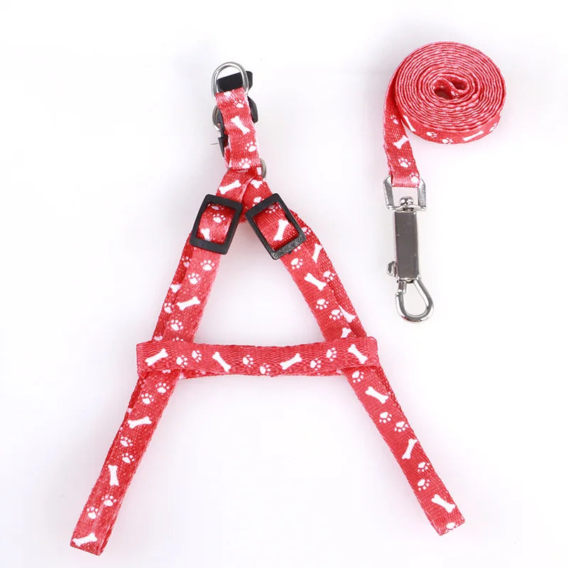 Colorful Harness & Leash Set – Style & Softness for Puppies 🐶🎀💛