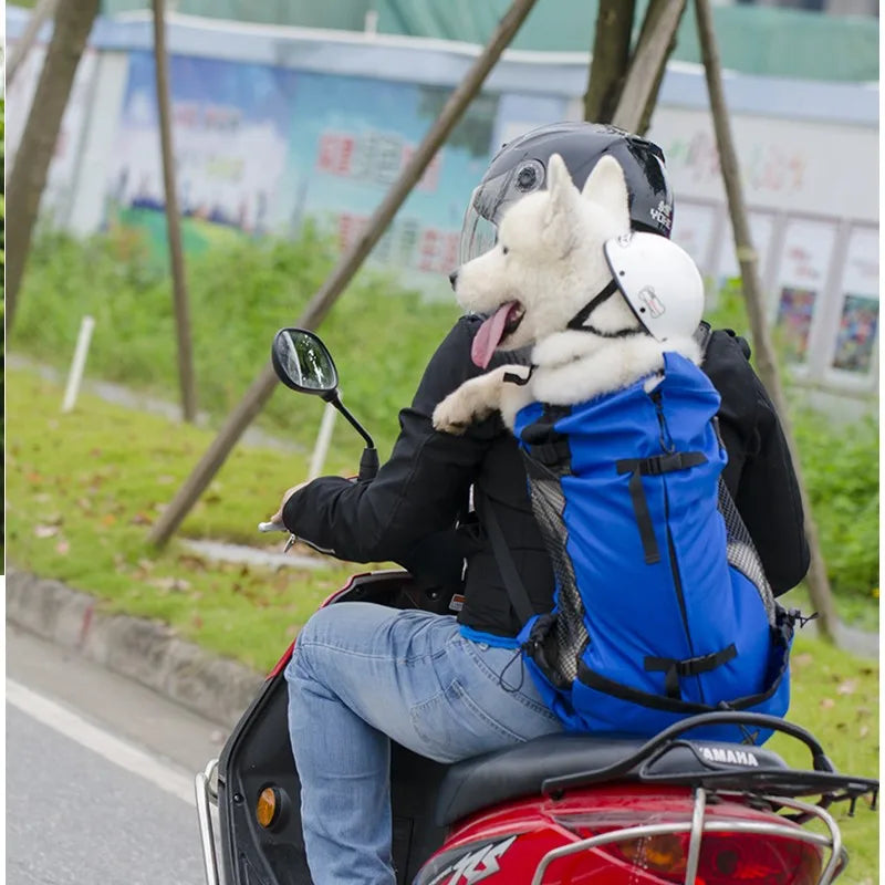 Sac à Dos Transport Chien – Aventure & Confort Ultime 🎒🐶💛