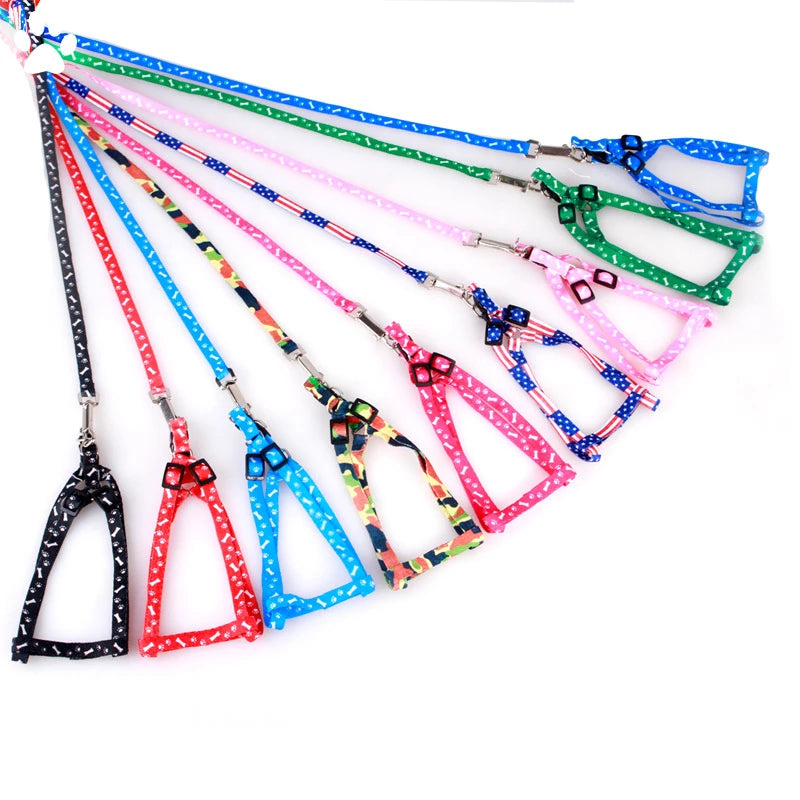 Colorful Harness & Leash Set – Style & Softness for Puppies 🐶🎀💛