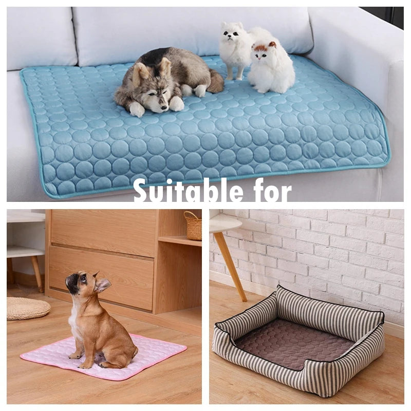 Tapis Rafraîchissant pour Chien – Fraîcheur d’Été & Confort Absolu ❄️🐾