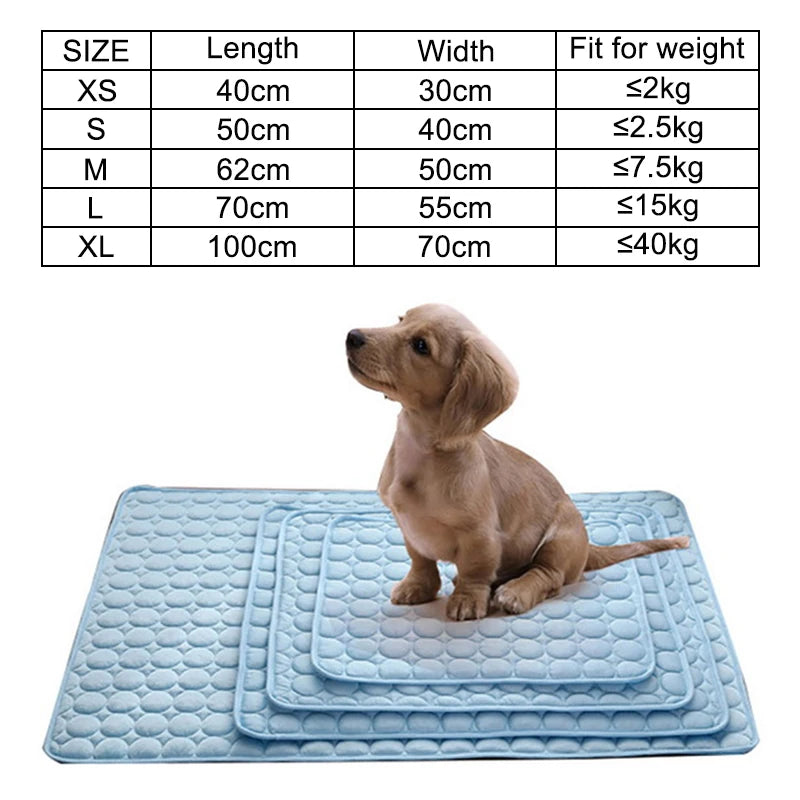 Tapis Rafraîchissant pour Chien – Fraîcheur d’Été & Confort Absolu ❄️🐾
