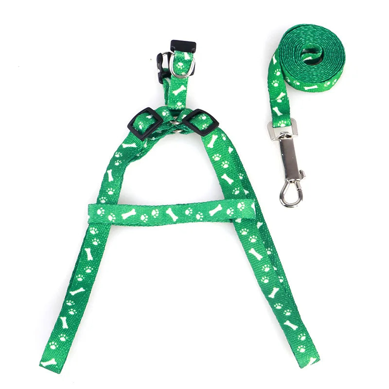 Colorful Harness & Leash Set – Style & Softness for Puppies 🐶🎀💛