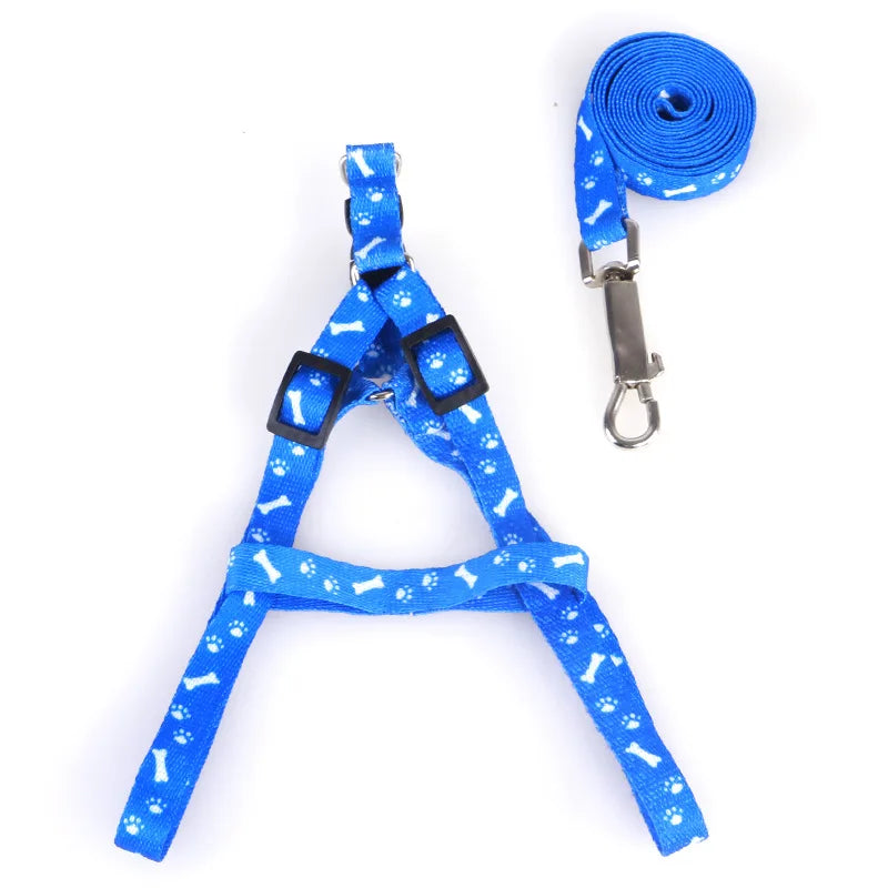 Colorful Harness & Leash Set – Style & Softness for Puppies 🐶🎀💛