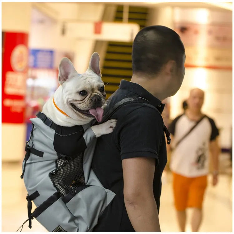 Sac à Dos Transport Chien – Aventure & Confort Ultime 🎒🐶💛
