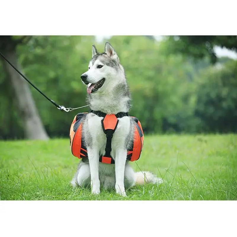 Sac à Dos Aventure Confort+ pour Chien – Grande Capacité, Respirant & Ultra Sécuritaire 🐶🎒💛