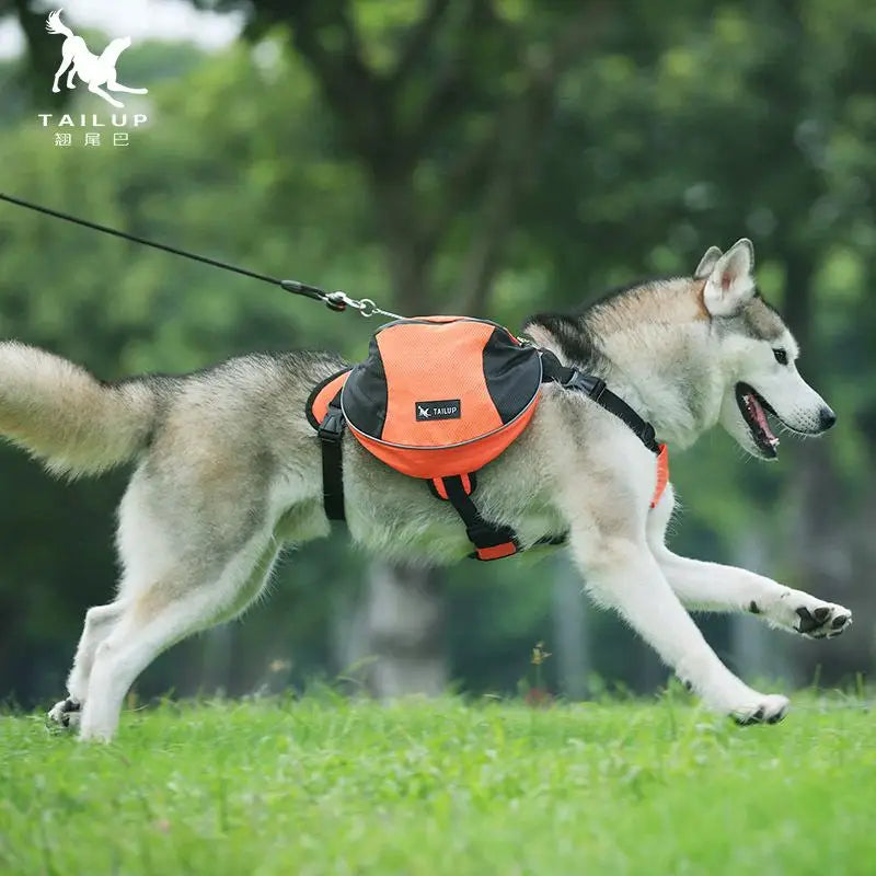 Sac à Dos Aventure Confort+ pour Chien – Grande Capacité, Respirant & Ultra Sécuritaire 🐶🎒💛