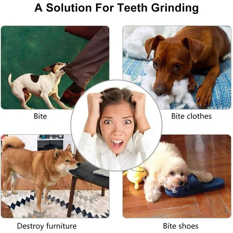 Comfort+ Stress Relief Ball for Dogs – Durable, Teeth Cleaning & Treat Dispenser 🐶🦷💛