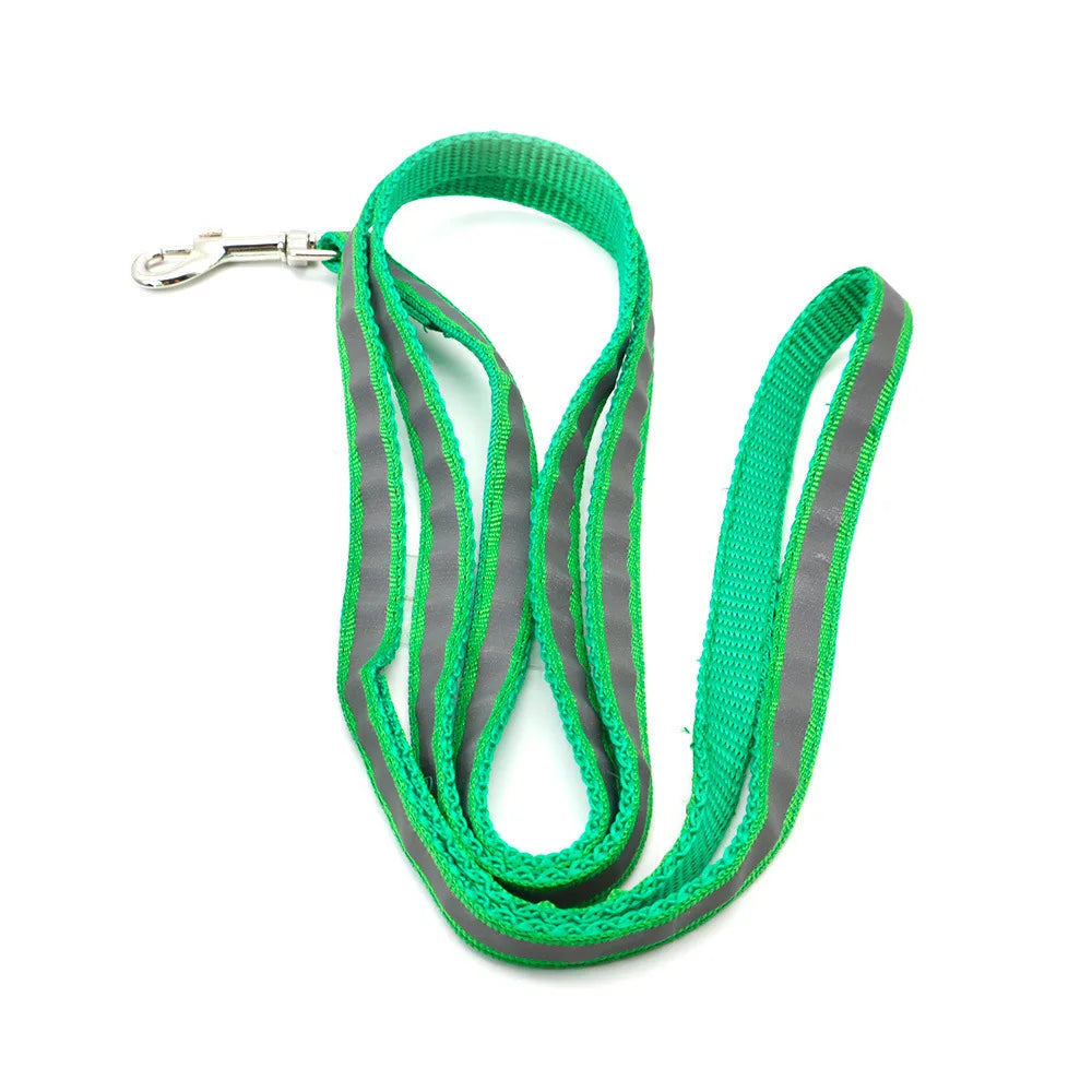 Reflective Leash – Safety & Simplicity for Everyday Use 🐶🌙💛