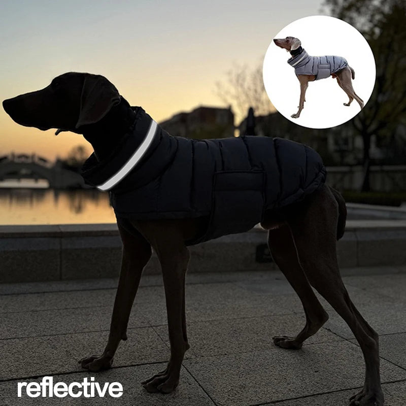 Veste d’Hiver Coupe-Vent pour Chien – Ultra Chaude & Confortable