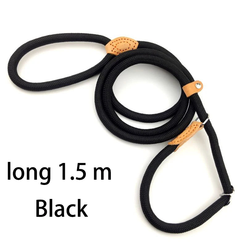 Adjustable Harness & Leash – Optimal Control & Comfort 🐶💪