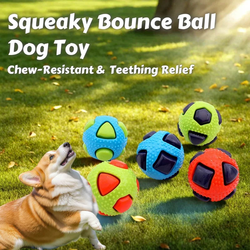 Balle Rebondissante Couineuse – Anti-Ennui & Dents Saines 🐶🎾