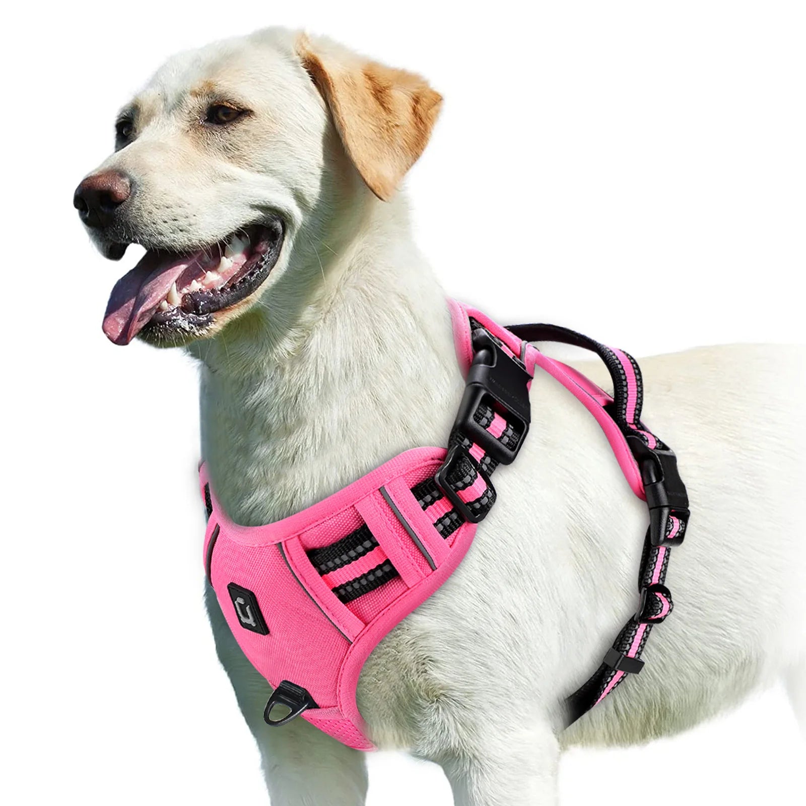 Padded No-Pull Harness – Optimal Control & Comfort 🐶💛