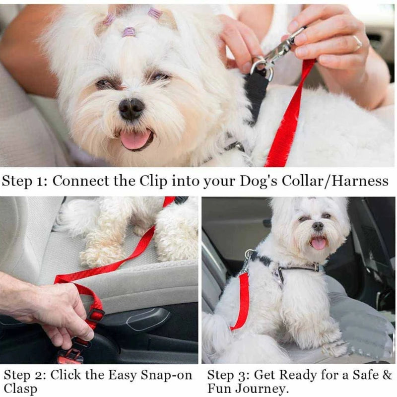 Car Safety Belt – Protection & Comfort in the Car 🚗🐶💛