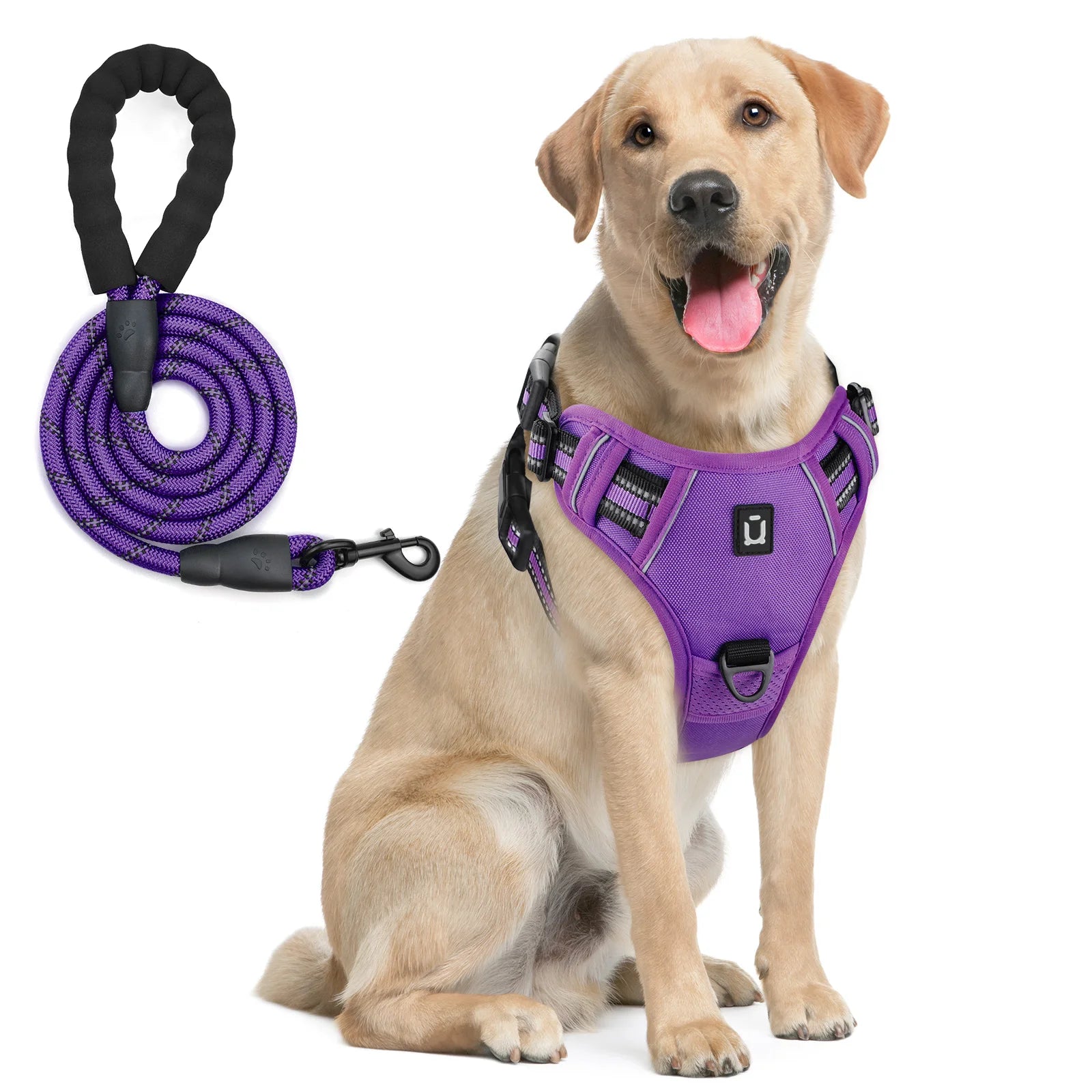 Anti-Pull Harness + 1.5 m Leash – Total Control & Comfort 🐶💛