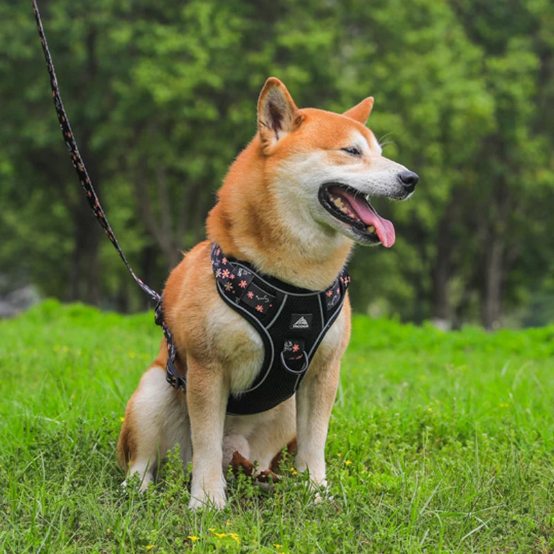 Comfort+ No-Pull Harness – Premium Safety & Control 🐶💛