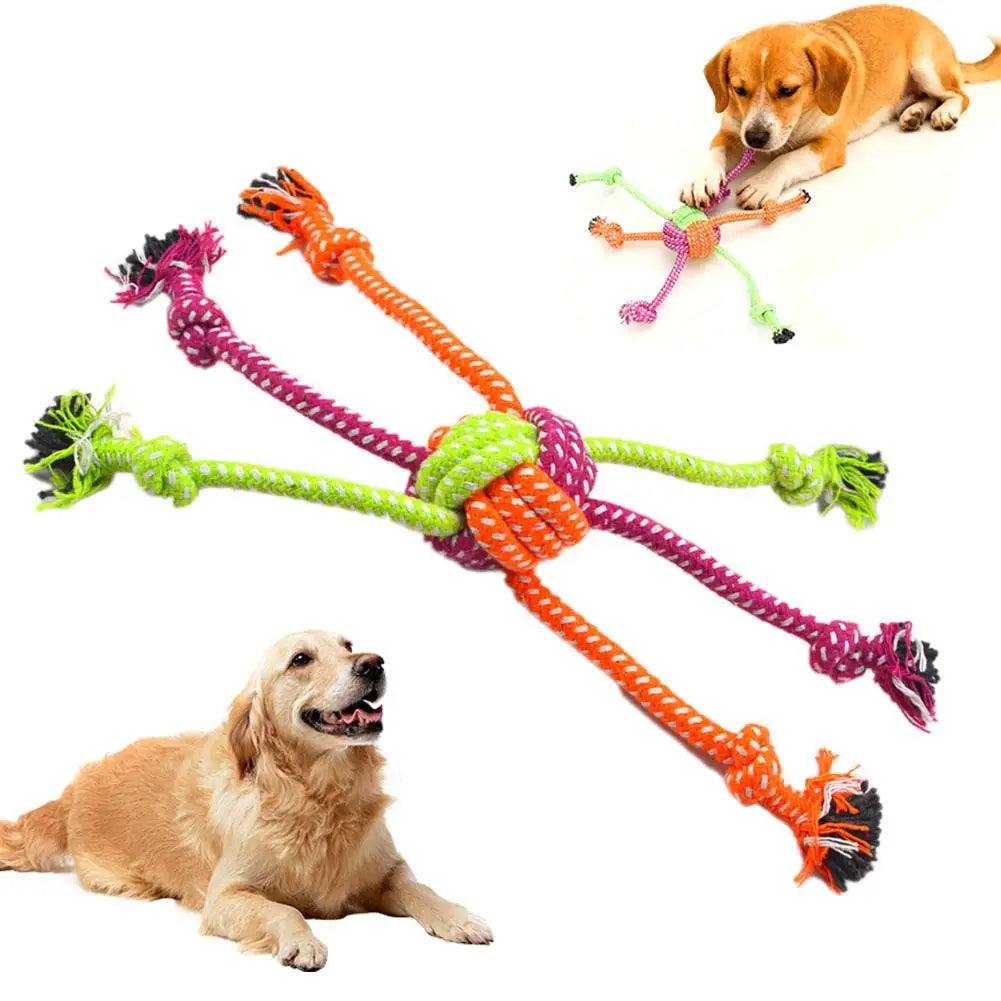 Jouet Corde Mini Résistant – Jeu & Santé Dentaire 🐶🪢💛