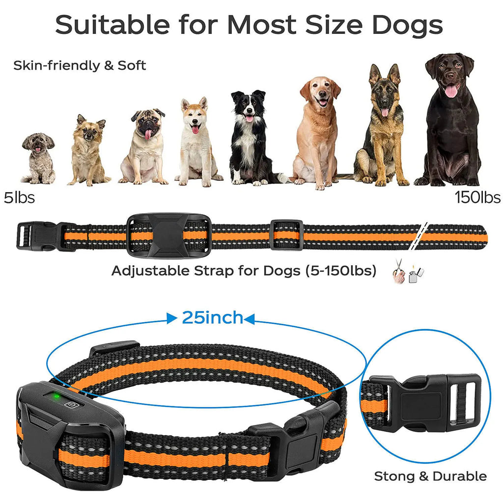 Collier de Dressage Longue Portée – Contrôle à Distance & Éducation Douce 📡🐶💛