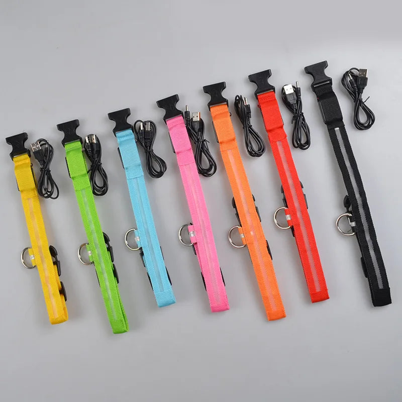 USB Rechargeable LED Collar – Maximum Visibility & Night Safety