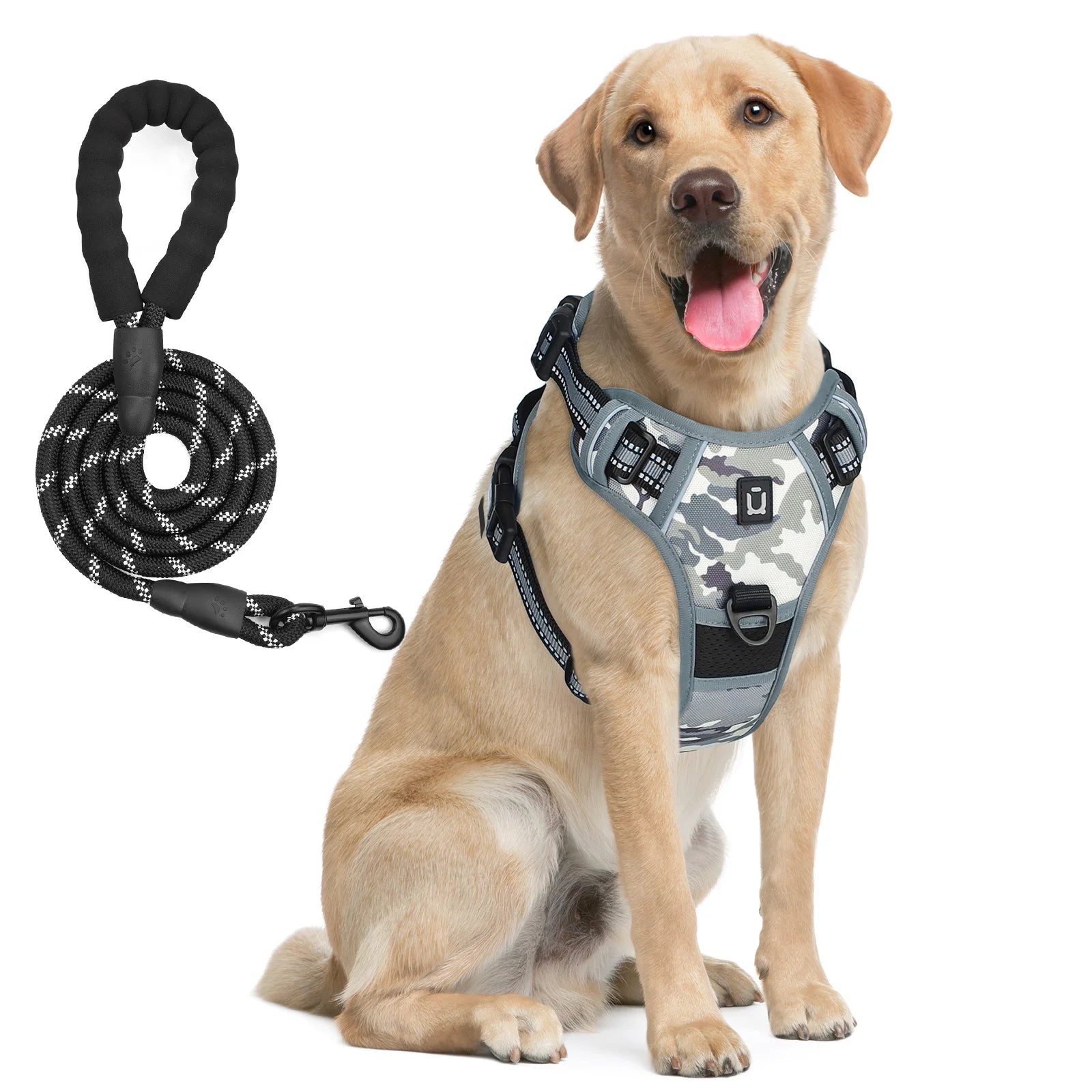 Anti-Pull Harness + 1.5 m Leash – Total Control & Comfort 🐶💛