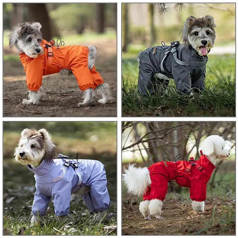Imperméable 4 Pattes avec Harnais – Protection Totale Sous la Pluie 🌧️🐶💛