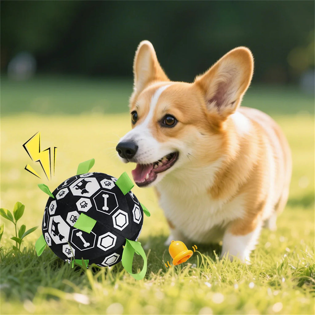 Balle Clochette Interactive – Jeu & Stimulation 🔔🐶💛