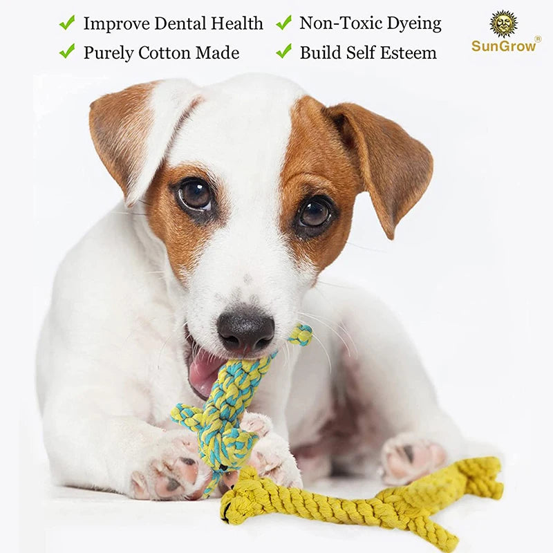 Cartoon Rope Toy – Durable & Interactive Play 🪢🐶💛