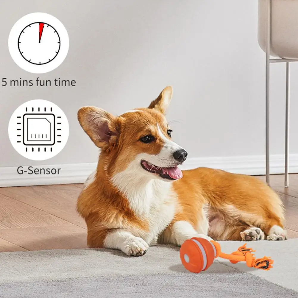 Interactive Smart Ball – Automatic Play & Stimulation 🧠⚡