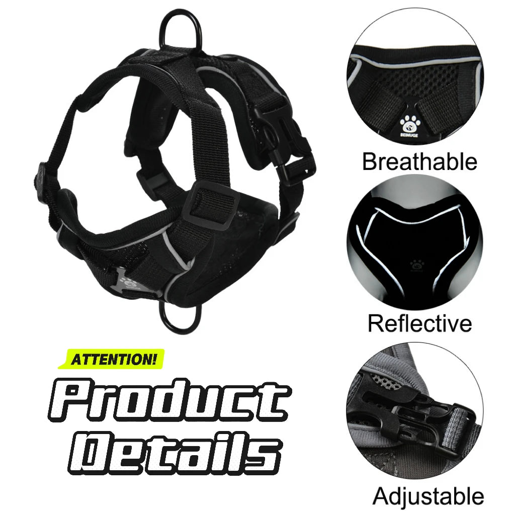 Reflective Hiking Harness + Leash – Active Safety & Comfort 🐶💛