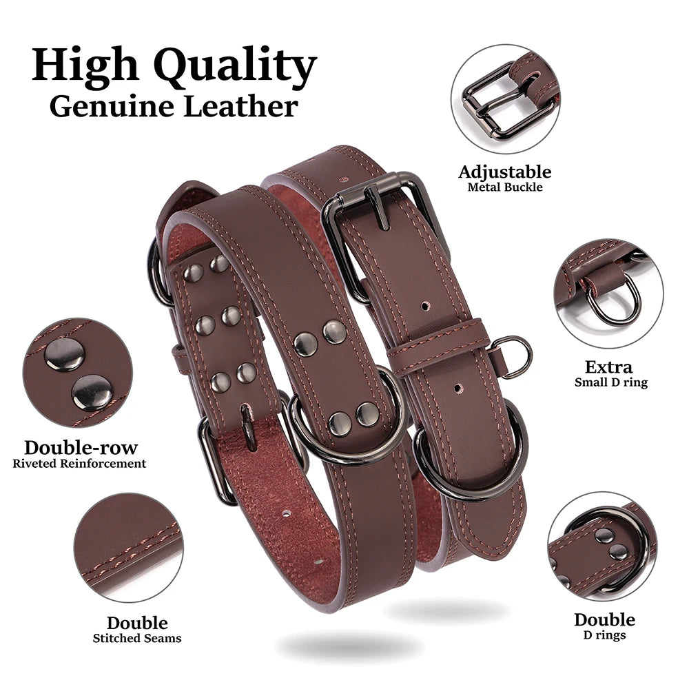 Collier en Cuir pour Chien – Élégance & Confort Premium 🖤🐶