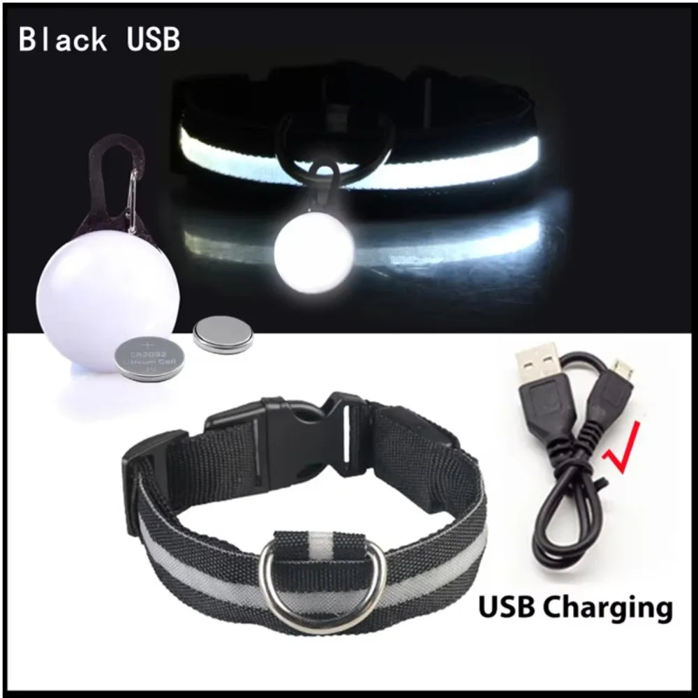 Rechargeable LED Collar – Night Visibility & Safety 🌙✨