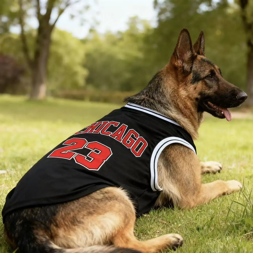 Jersey Basket Chicago – Style Urbain & Fraîcheur Été 🏀🐶