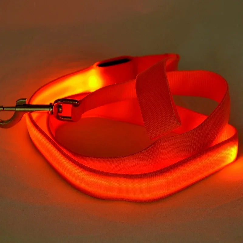 Laisse Lumineuse LED – Visibilité & Sécurité Nocturne 🌙✨🐶