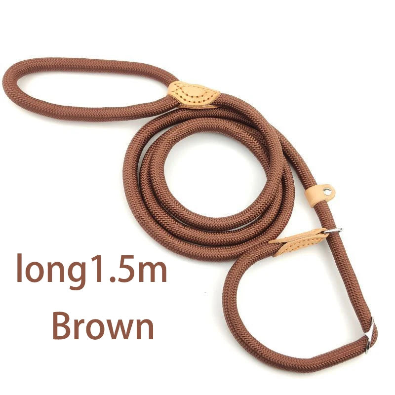 Adjustable Harness & Leash – Optimal Control & Comfort 🐶💪