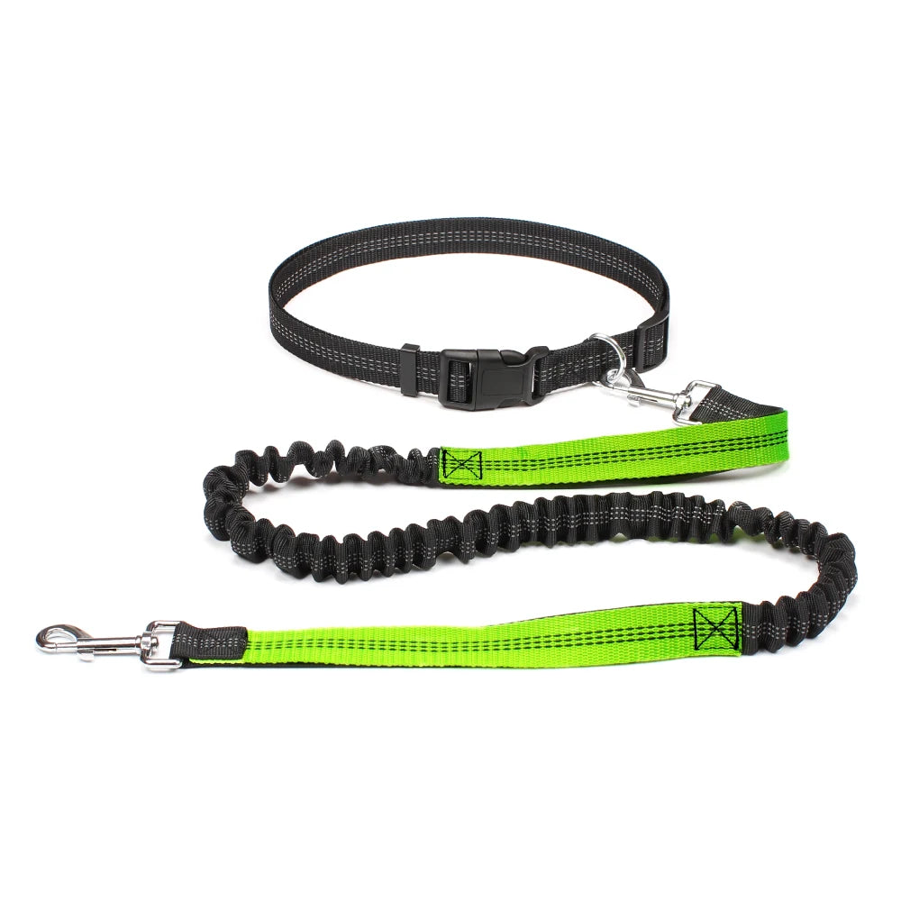 Comfort+ Hands-Free Leash for Dogs – Shock-Absorbing, Reflective & Adjustable 🐶🏃‍♂️💛
